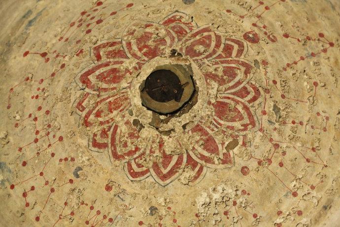 熊猫兔到底有多难养？看完这篇你就敢下手了！