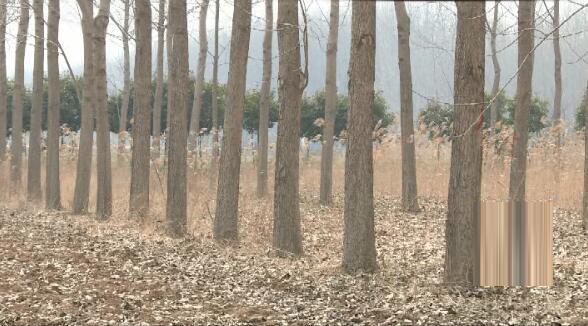 亚马逊Prime Day：是什么、一般在哪天和什么时候