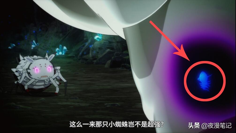 家里突然出现巴掌大的蜘蛛怎么办？