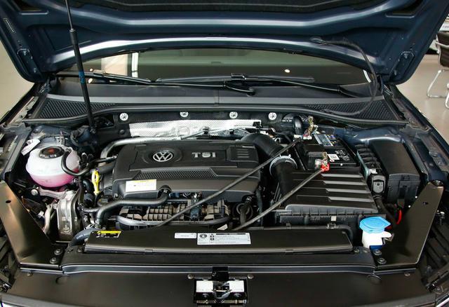 松狮犬吃错东西真的会要命吗？