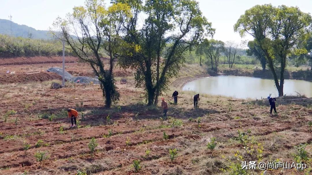 2024年淘宝金秋丰收节活动规则详解及参与指南