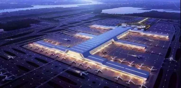 养黄鹂鸟到底该喂啥？新手必看的喂养避坑指南