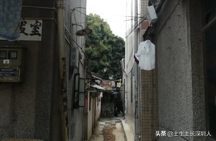 陈姓宝宝取名怎么避开烂大街的套路？