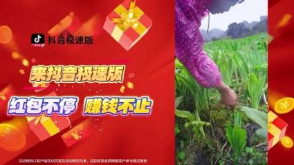 dy小时自助下单平台网站-抖音涨赞全网低价渠道