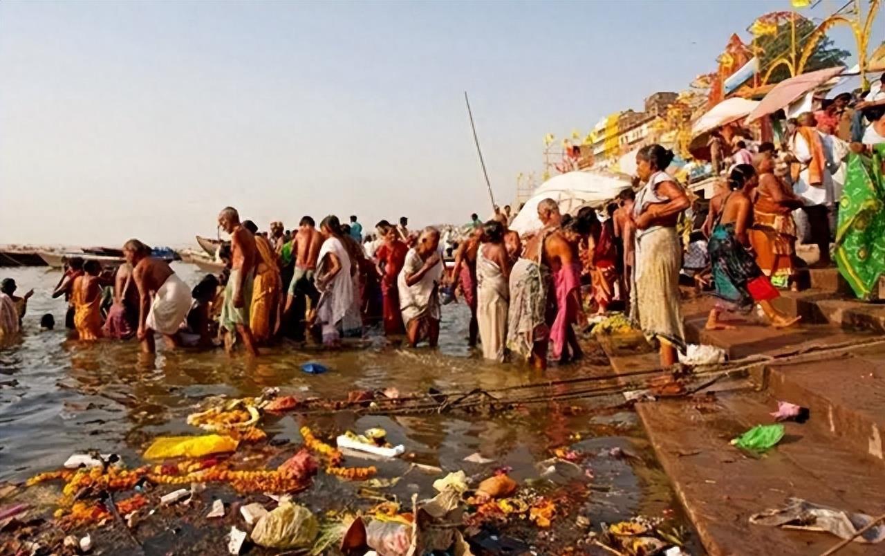 宠物松鼠有哪些种类？一起来了解松鼠的形态特征以及习性