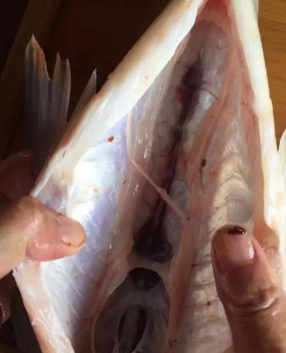 梦见别人杀人是在暗示什么？