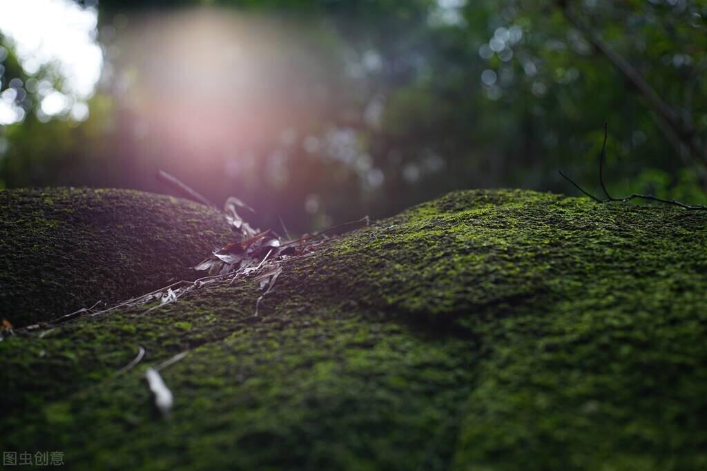 星座测试真的能看透你的人生吗？