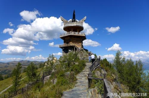 蜥蜴基础知识：了解蜥蜴的生活习性与饲养技巧