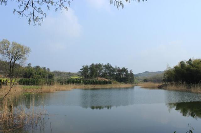 2011年4月10日究竟发生了什么大事？