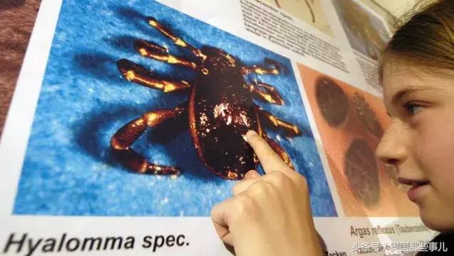 新手做淘宝代理真的能月入过万吗？