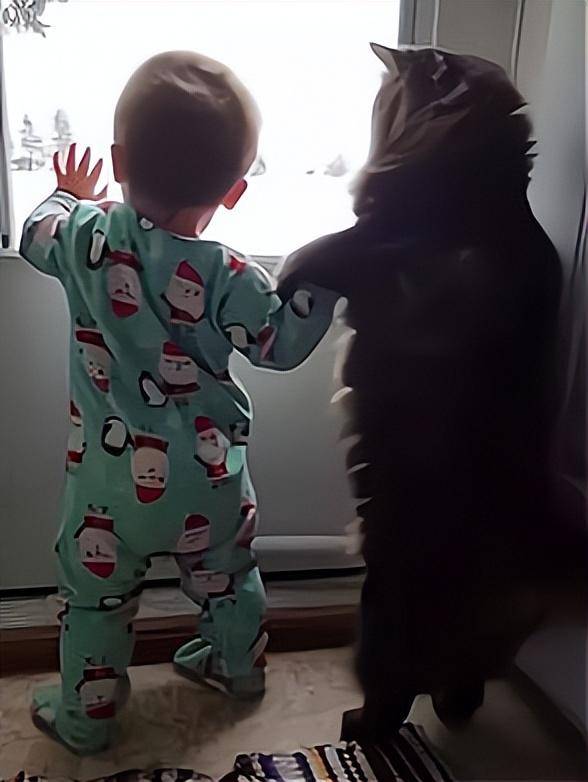 新手如何在淘宝赚到第一桶金？