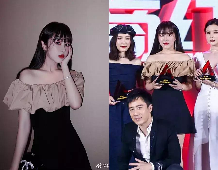 星龟到底该怎么养才不会翻车？