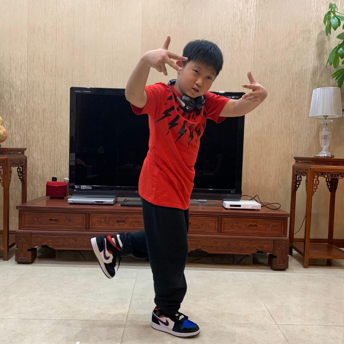 雪纳瑞幼犬照顾指南：刚买回家时需要注意的要点与技巧