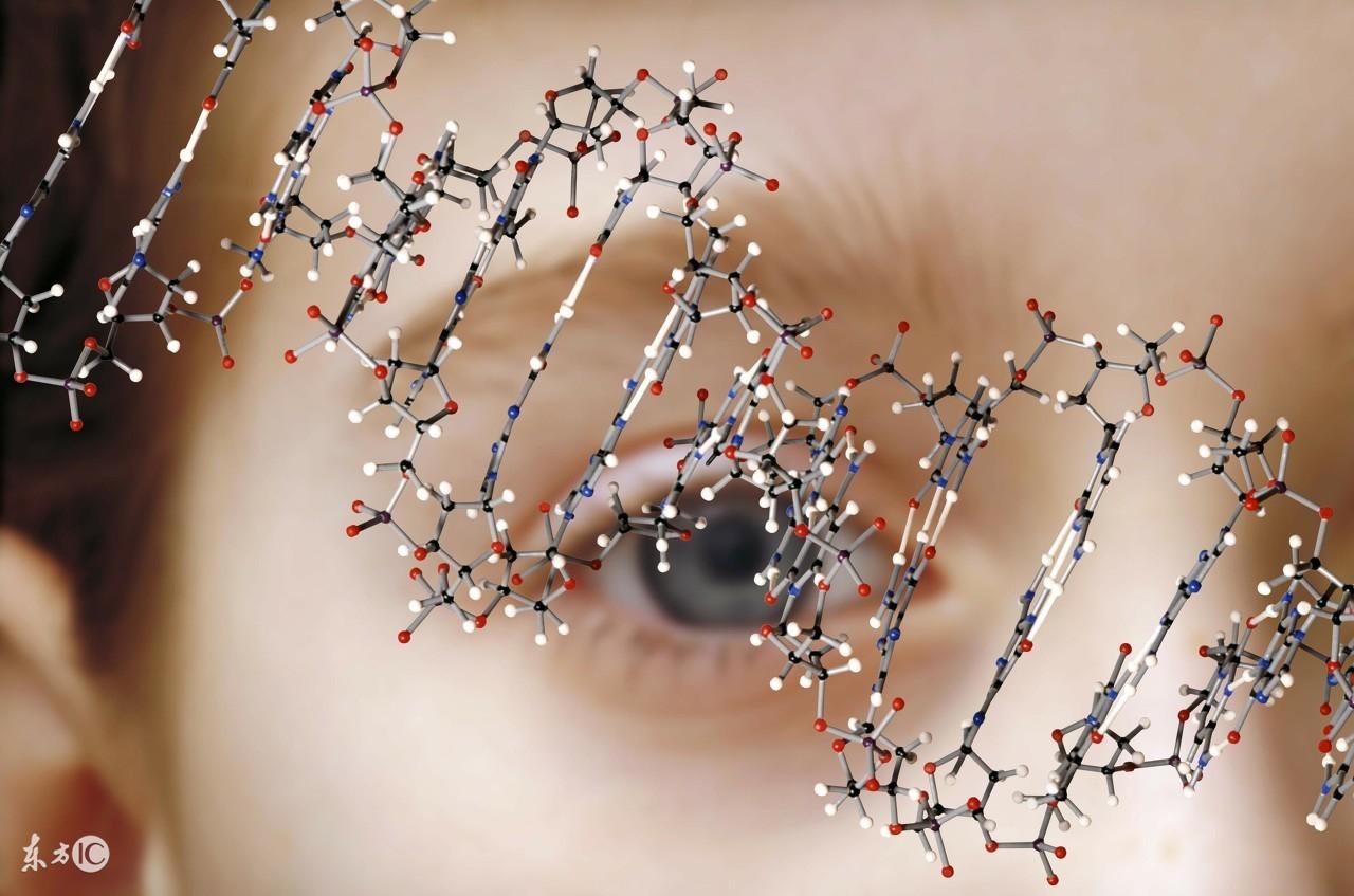 北京工商局网站能帮你解决哪些生活难题？