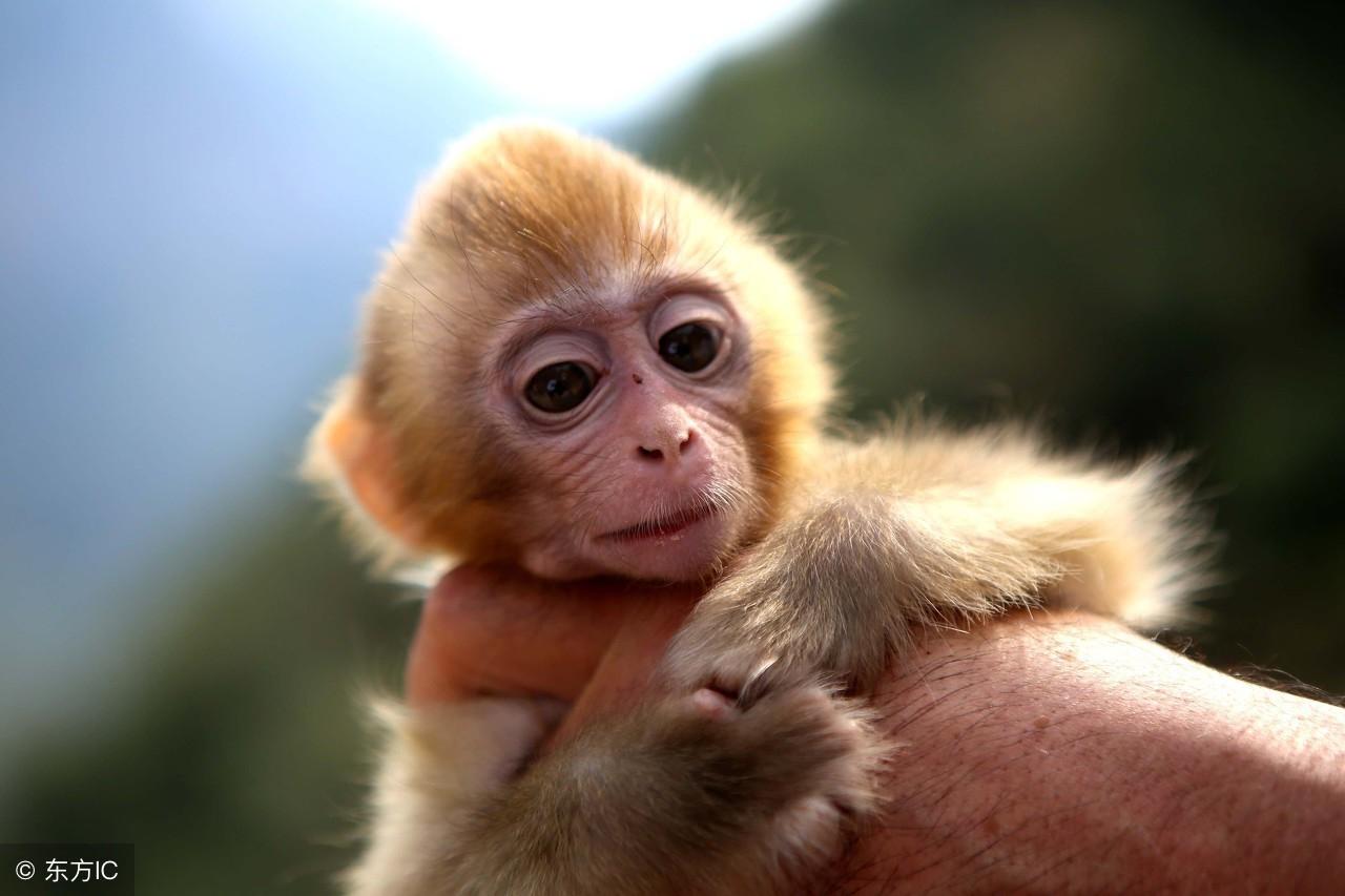 2013年11月的日历里藏着哪些你不知道的冷知识？