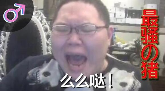 我是全英雄联盟最骚的骚猪出处，原来和PDD有关！