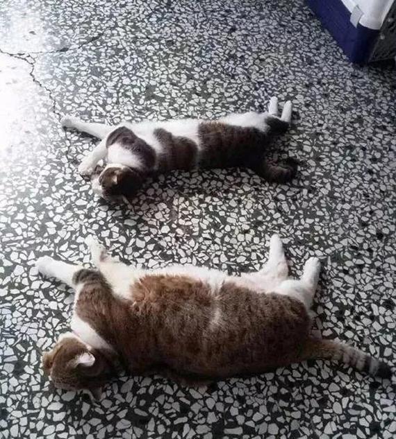 为什么你的设计图总像平面贴纸？