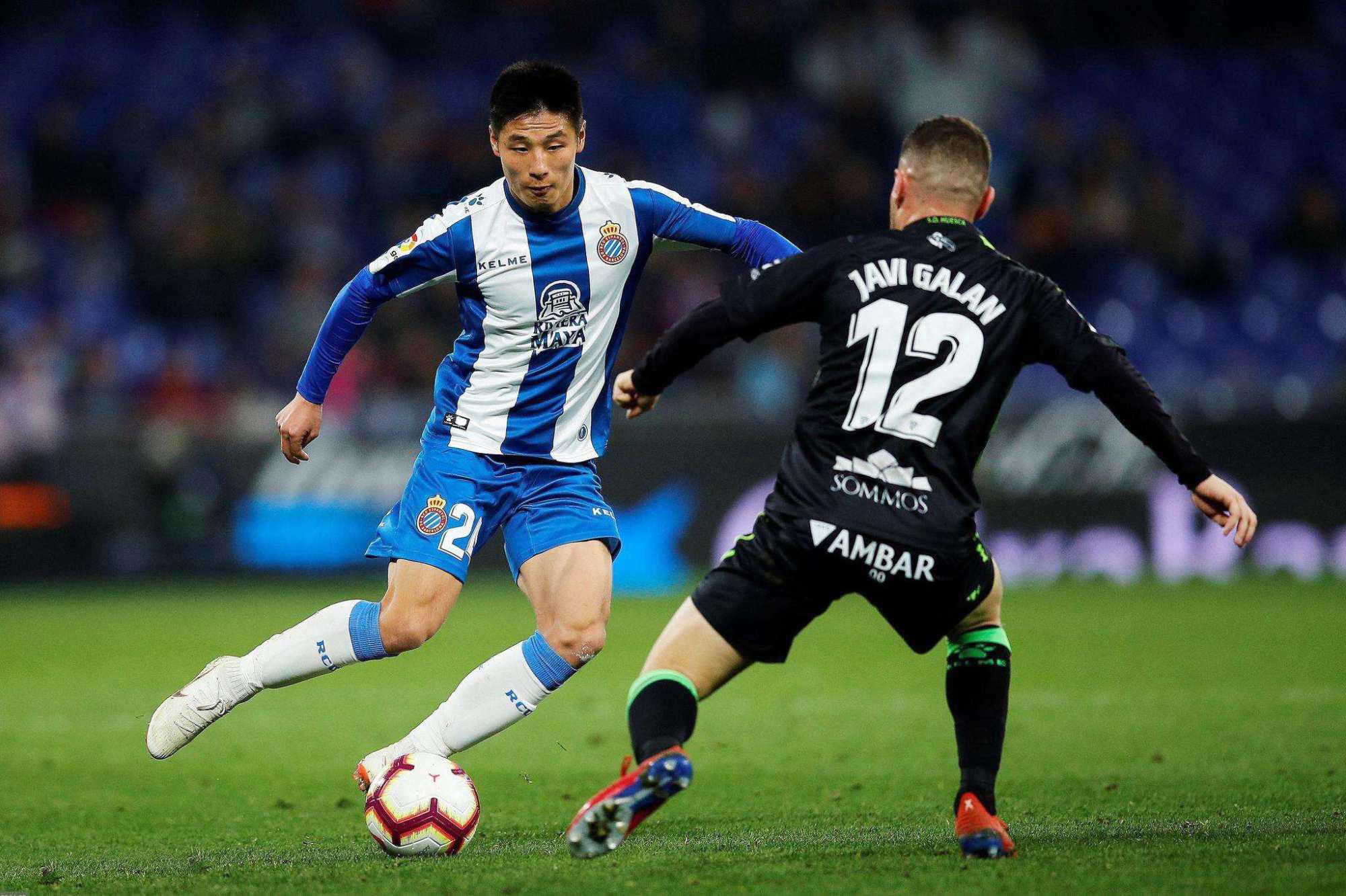 葵鼠到底该怎么养才不会翻车？