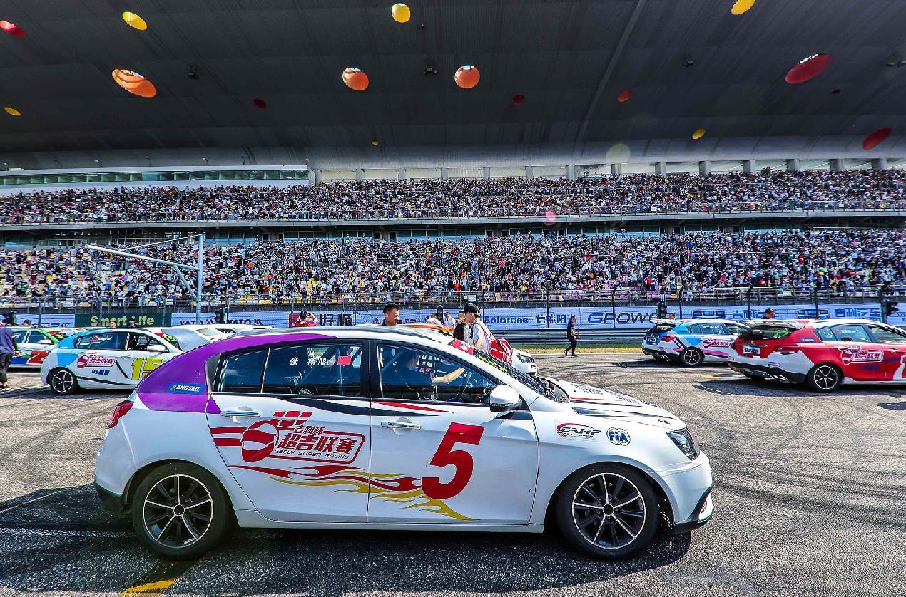 养长毛吉娃娃到底有多烧钱？