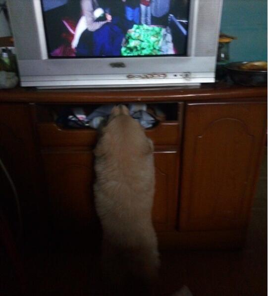 淘宝旺旺群发软件用不好会被封店吗？