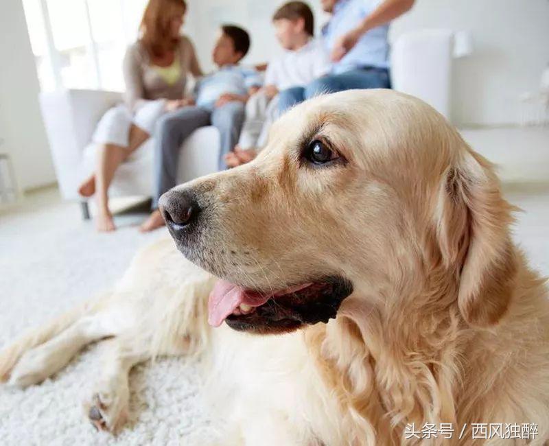 2015年属羊的人真的会犯太岁吗？