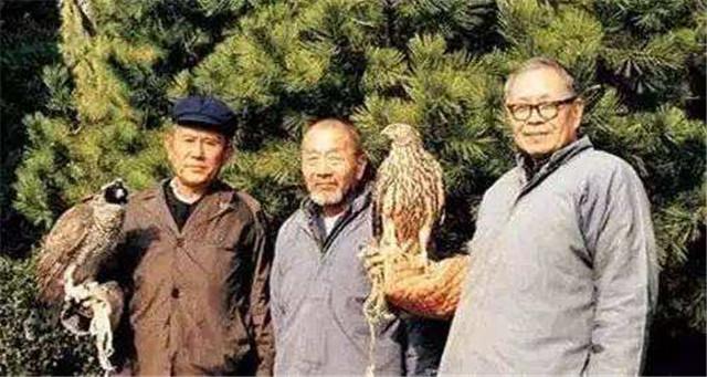 新手养蟋蟀为啥总活不过三天？