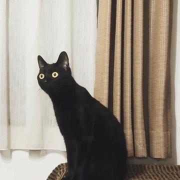 亚马逊欧洲站与美国站有何区别?哪个更值得选择? 亚马逊欧洲站与美国站有何区别?哪个更值得选择?