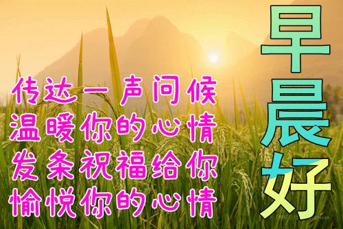 微信群发消息怎么一次发给所有人？