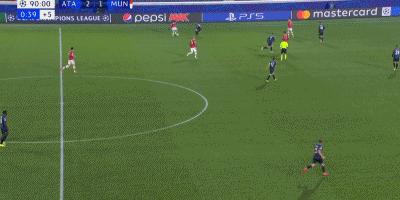 信鸽真的能听懂人话吗？