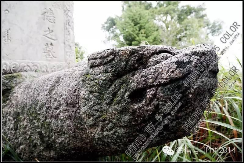 墓地风水学真的影响子孙运势吗？