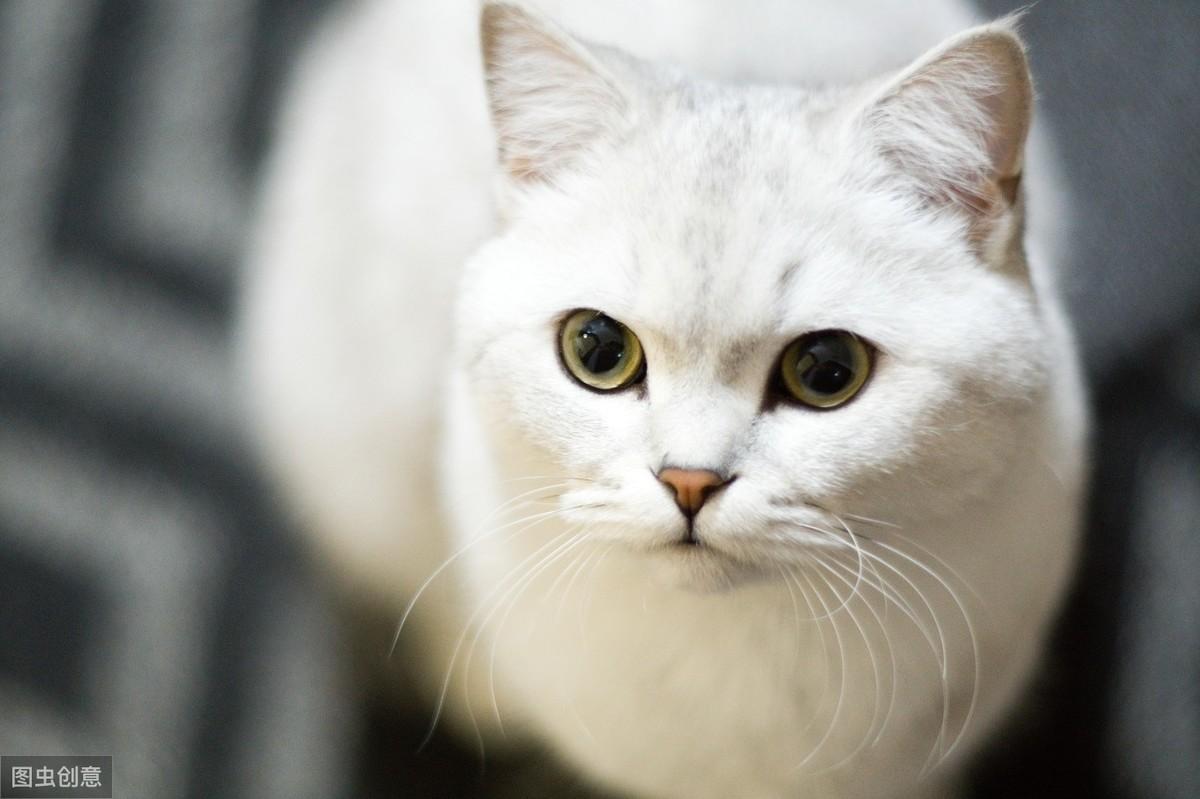 淘宝开店需要经营许可证吗？营业执照是必须的吗？