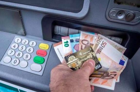 了解完美罗威纳幼犬的成长轨迹，掌握关键成长阶段