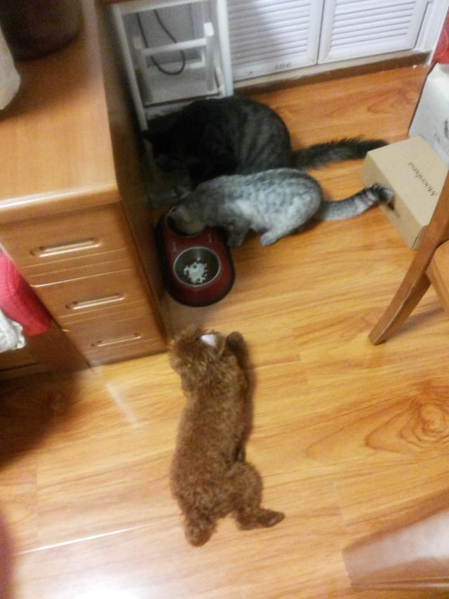 淘宝买卖双方互评操作指南：如何互评及显示时间详解