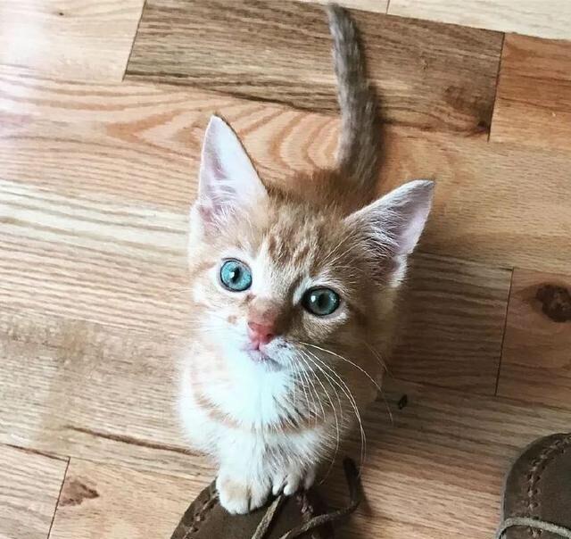 个人开跨境电商全指南：需要注意哪些要点？