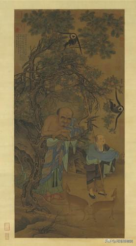 墨猴到底多少钱能买到一只？