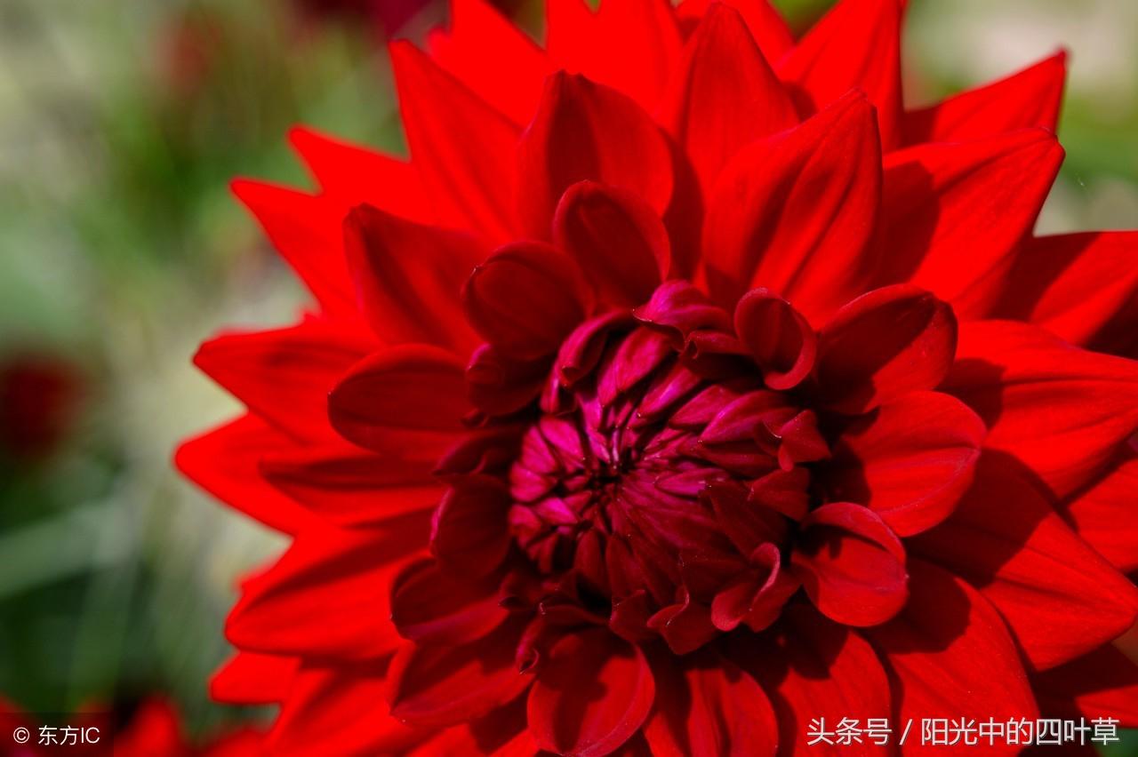 二月十六这关到底该怎么过？