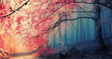 手机淘宝店铺装修模板必须旺铺才能用吗