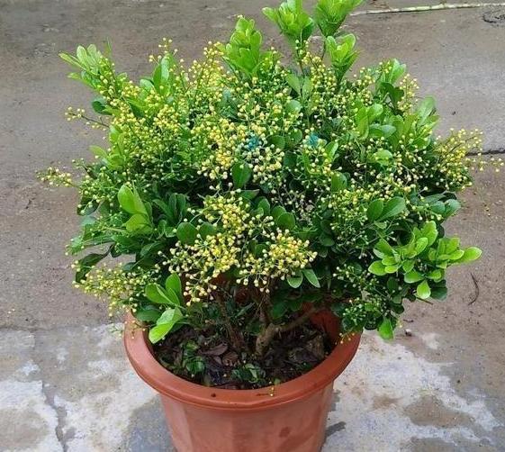 5月3日到底藏着什么新手必知的秘密？