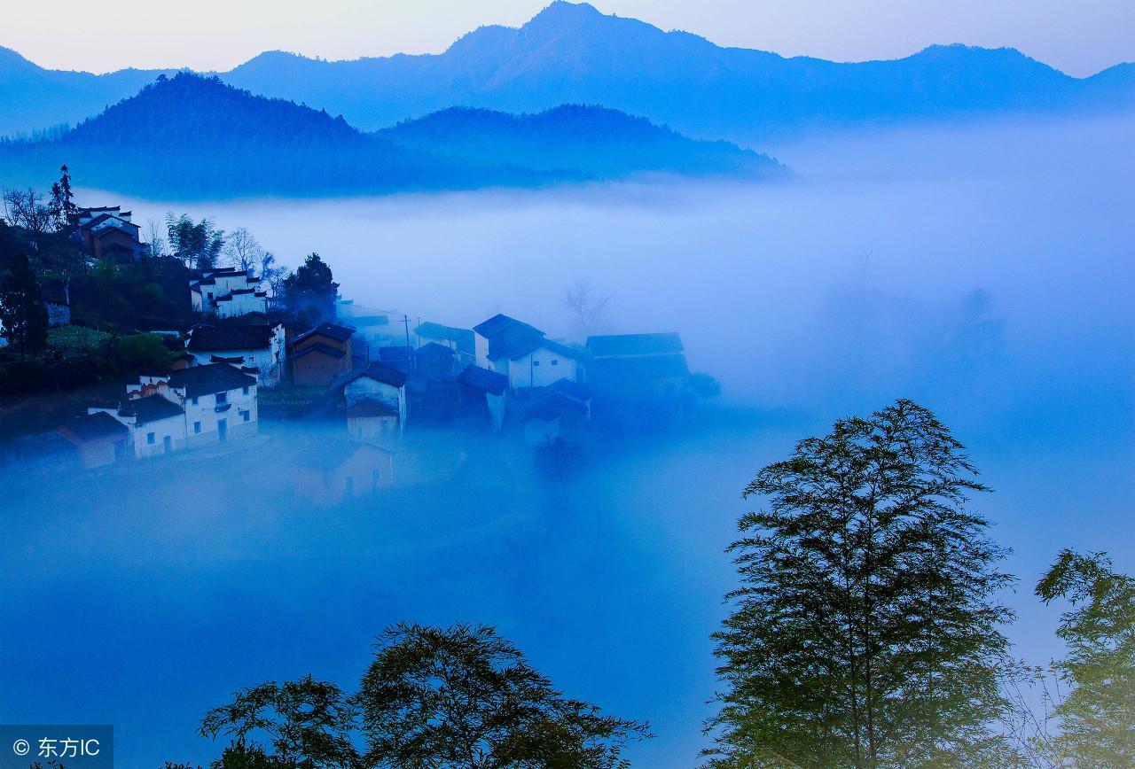 中华鲟的鳞片颜色藏着什么惊天秘密？