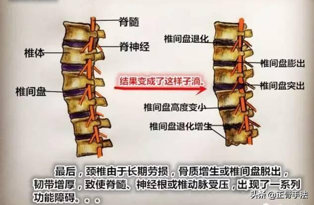 精选可爱女宝宝用萃字的好听名字，寓意美好又独特