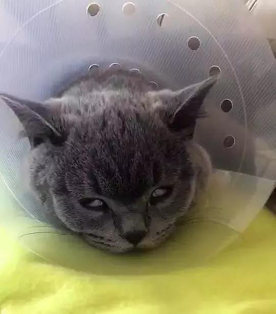 2013年的圣诞节到底是哪一天？