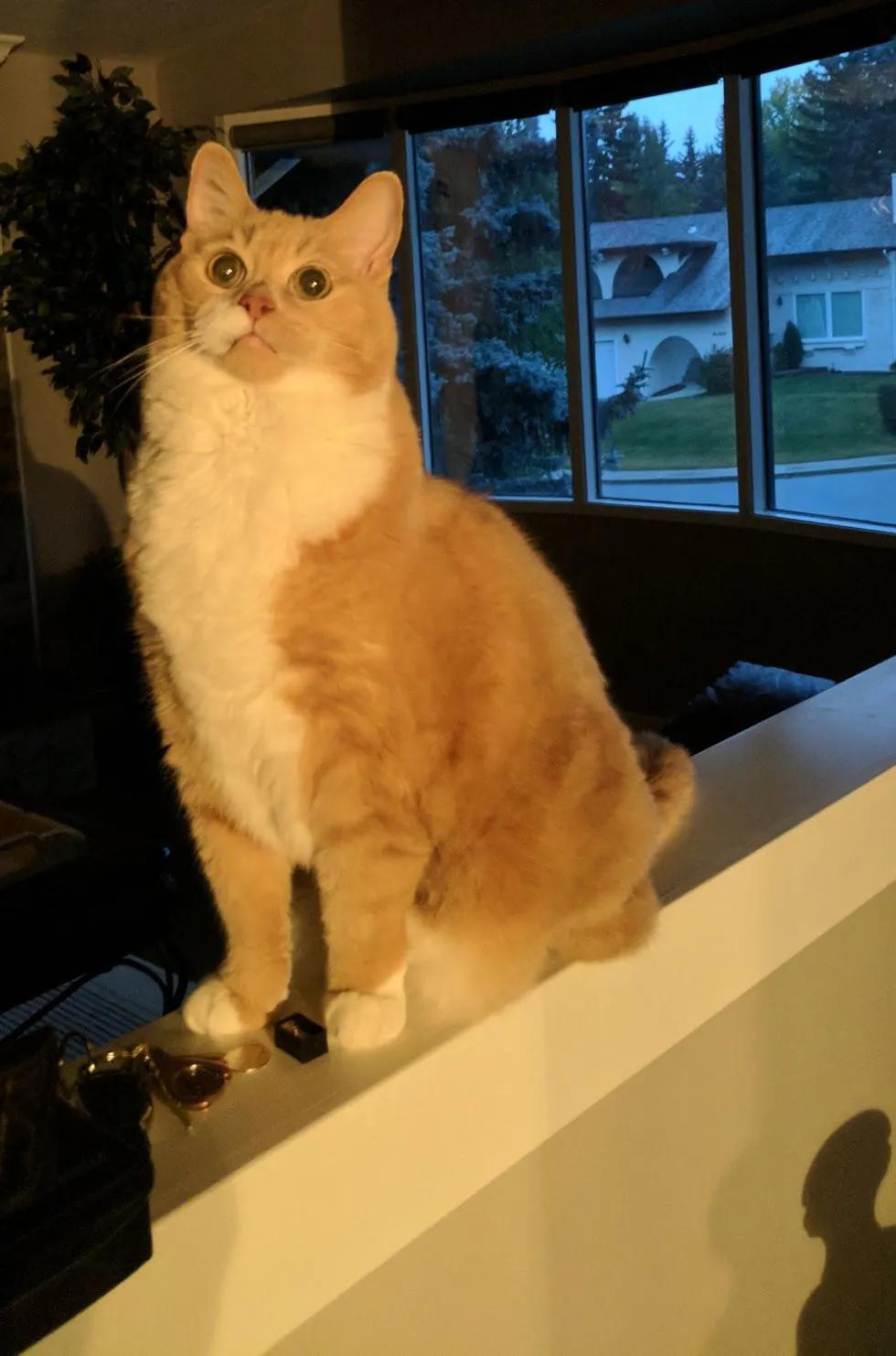 2023年最新郭姓宝宝取名大全，精选独特好名字推荐