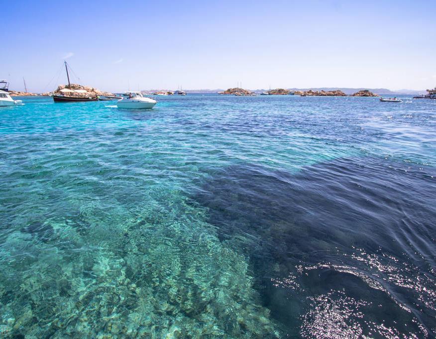 梦见抓鱼是发财的预兆吗？