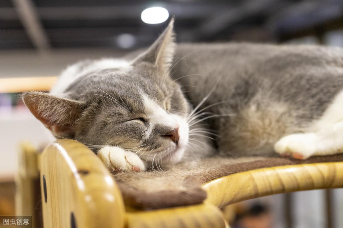 淘宝麦麦真的能省出一个LV包？