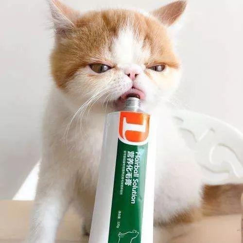 淘宝直播需要满足哪些条件？详细要求一览