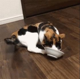 华人论坛51998点cc到底怎么玩才不踩坑？