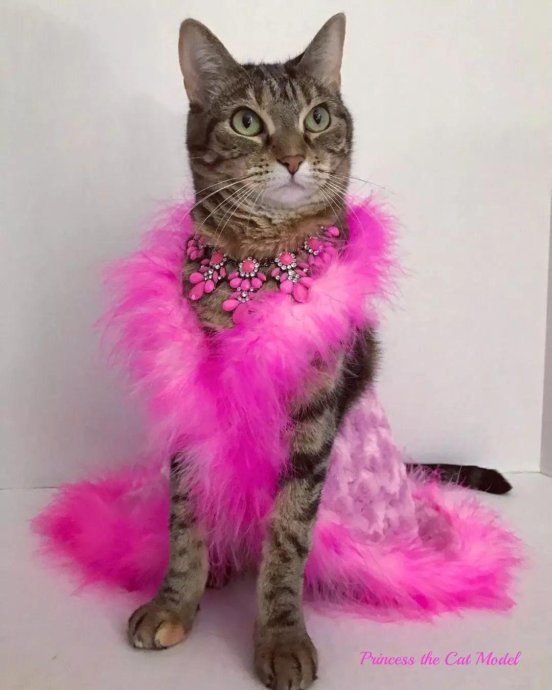 2012年12月12日真的能活下来吗？