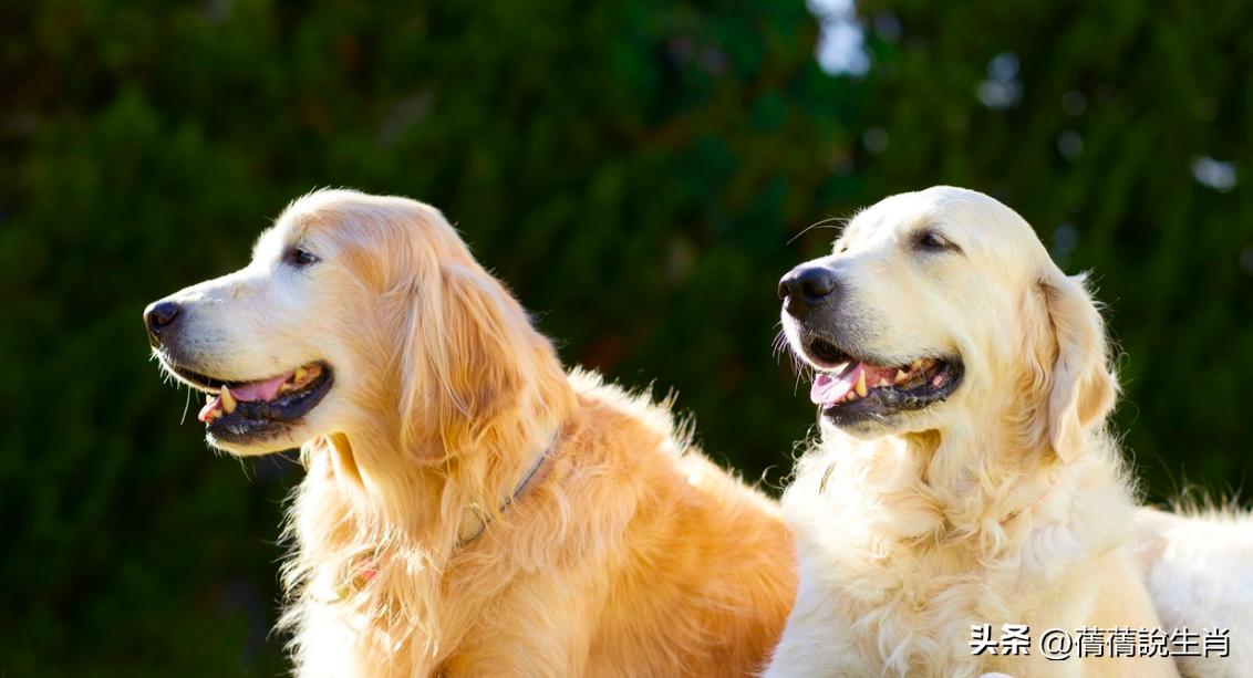 淘宝分销平台入口到底藏哪儿？官网网址怎么死活找不到？