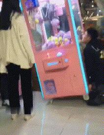 养仓鼠真的会养一只死一只吗？