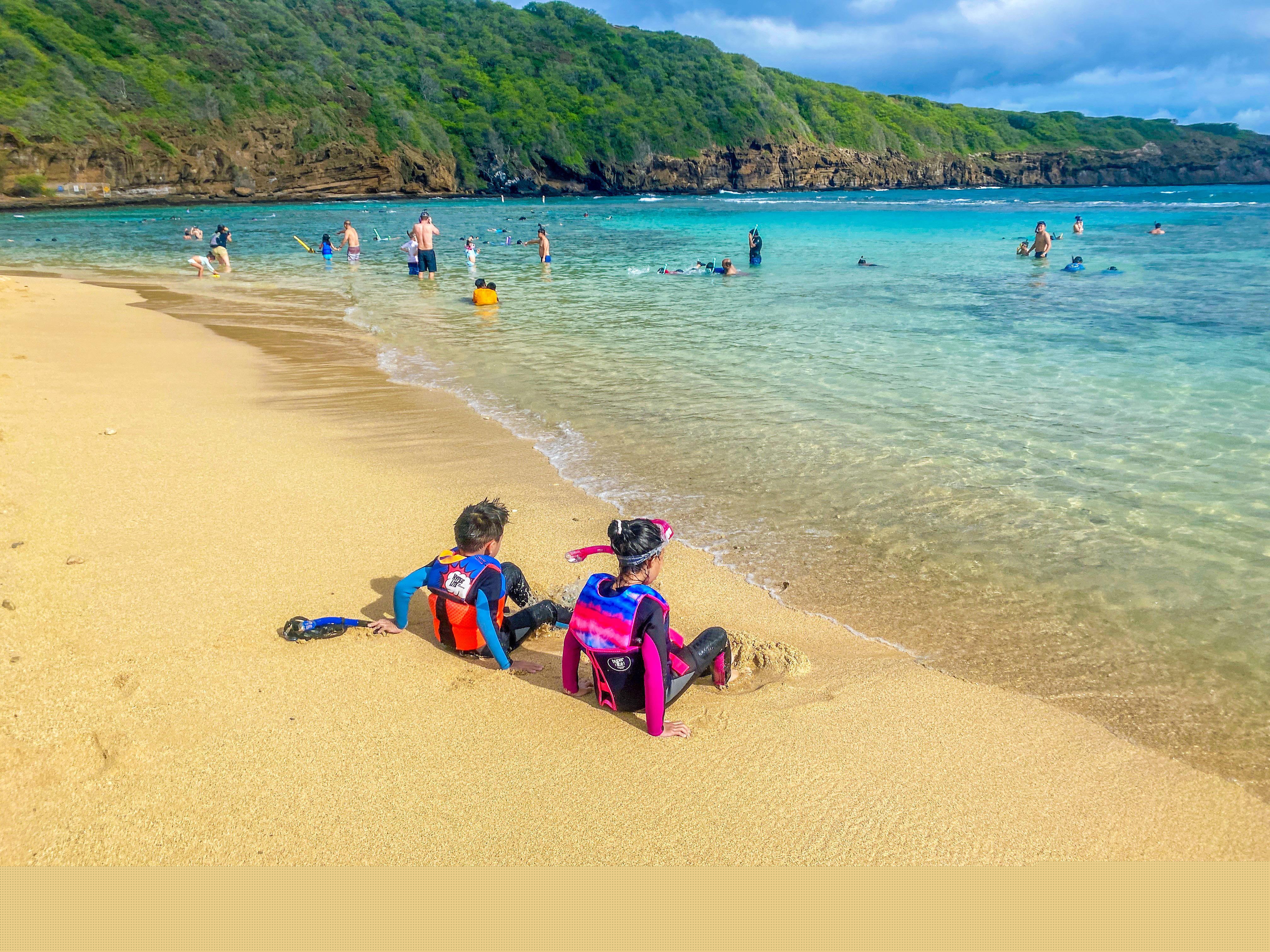 热带鱼种类繁多达几百种,你知道都有哪些吗? 热带鱼种类繁多达几百种,你知道都有哪些吗?